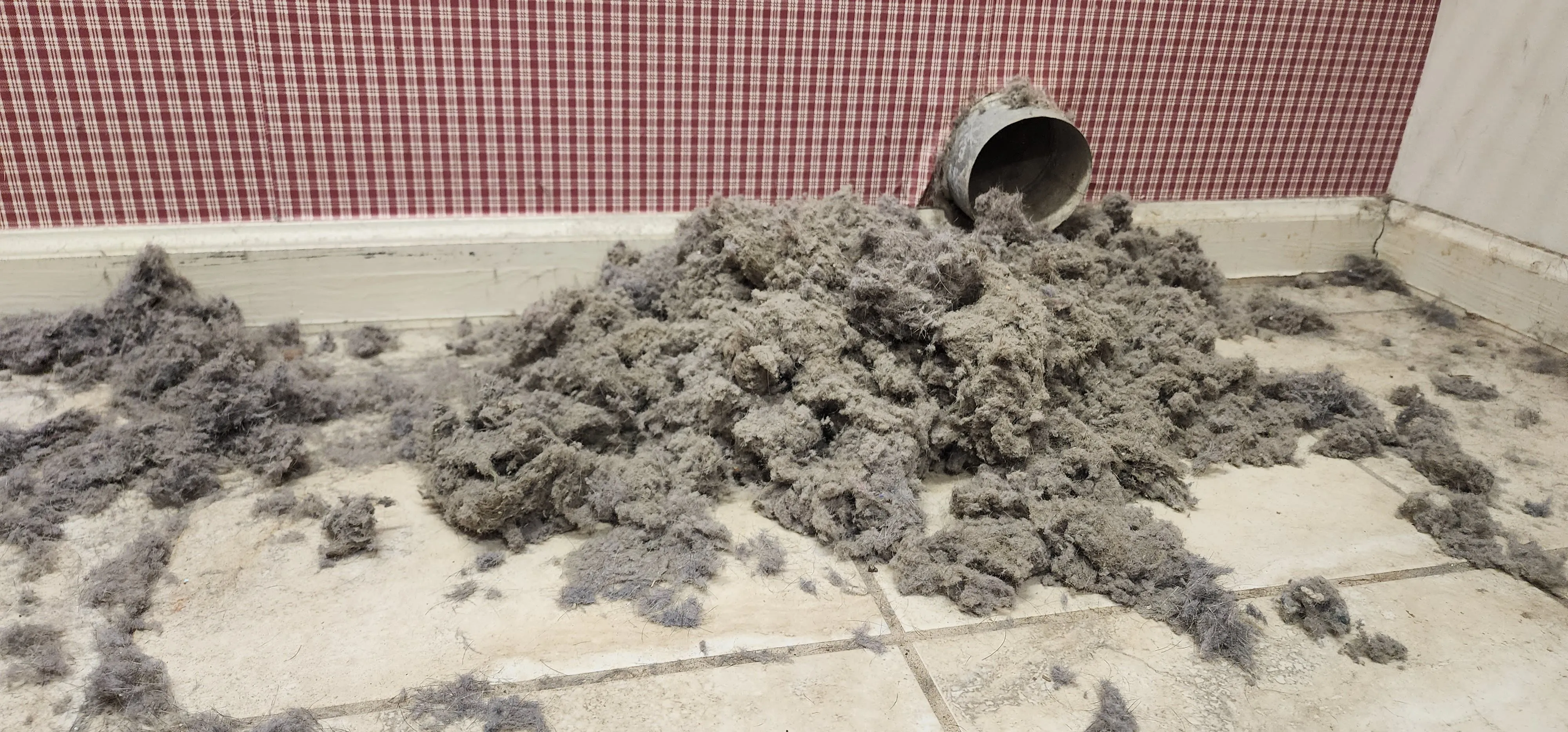 A pile of dryer lint