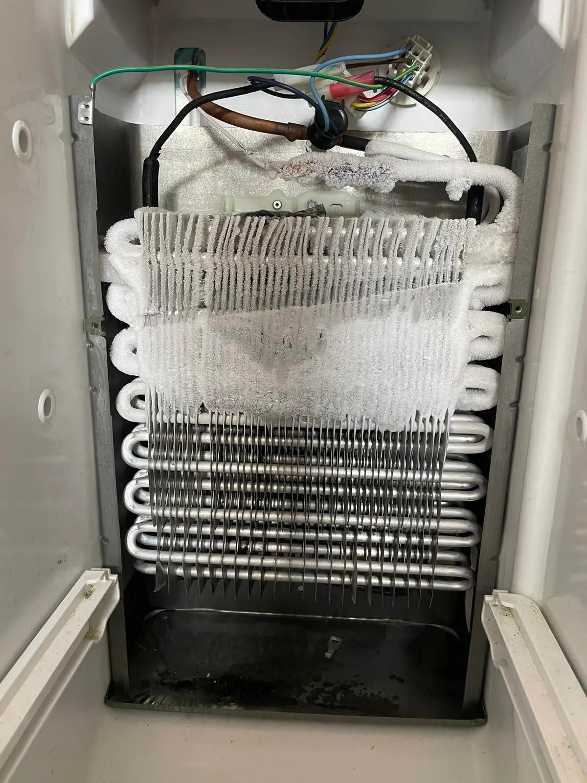 Frozen refrigerator coils preventing the fridge from cooling